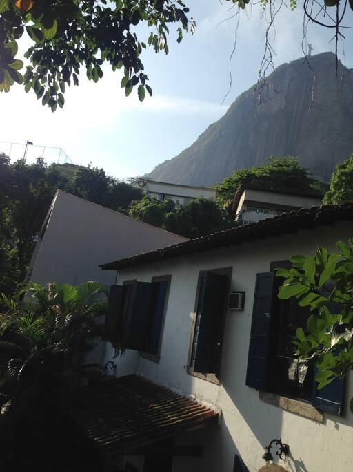 vista da casa da árvore