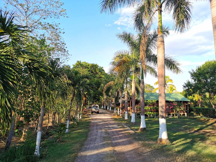 10 Best LongTerm Rentals In Guanacaste Province, Costa Rica Updated