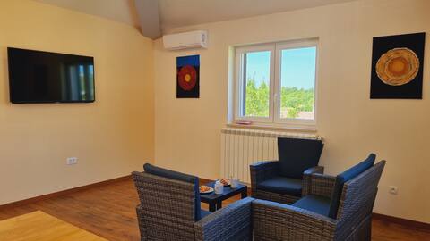 Popular Airbnb listing: Villa Aurora Labin in Marceljani