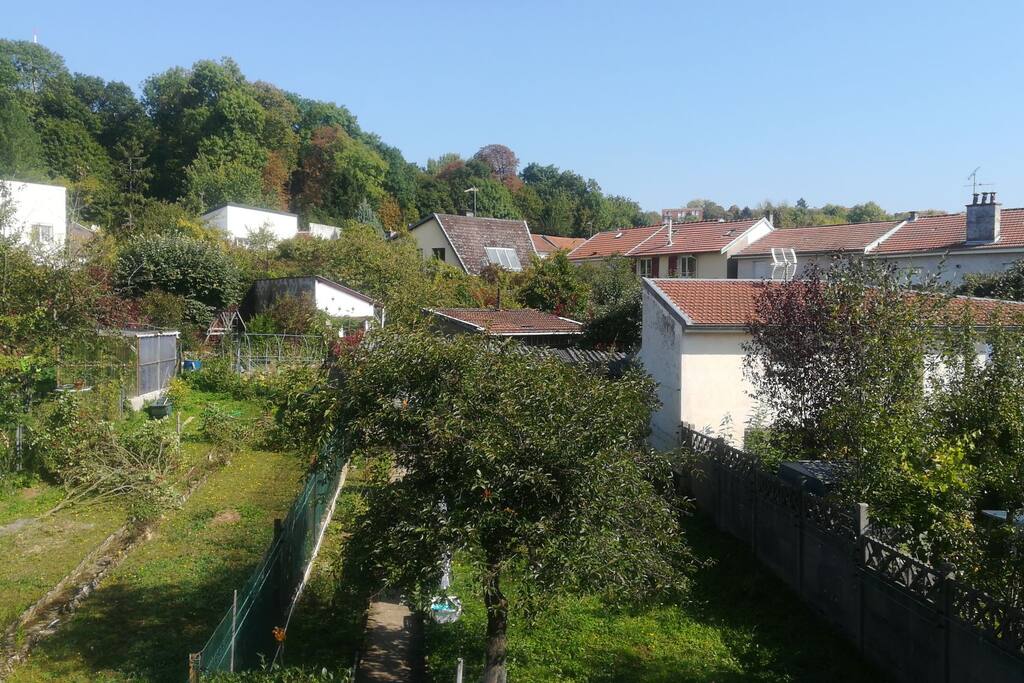Vue depuis la fenêtre de la salle de bain