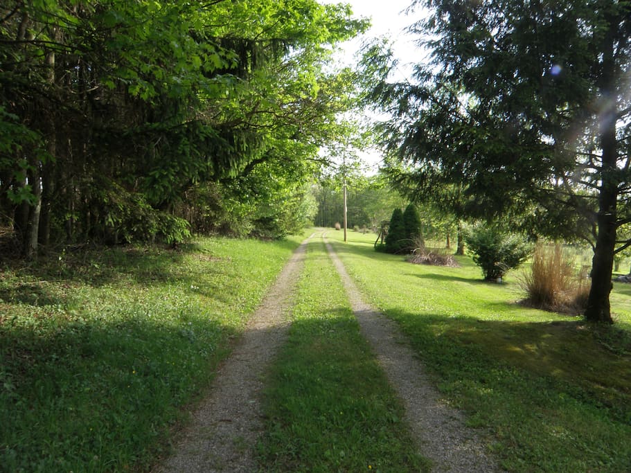 A long driveway greets you and brings you right to our doorstep!