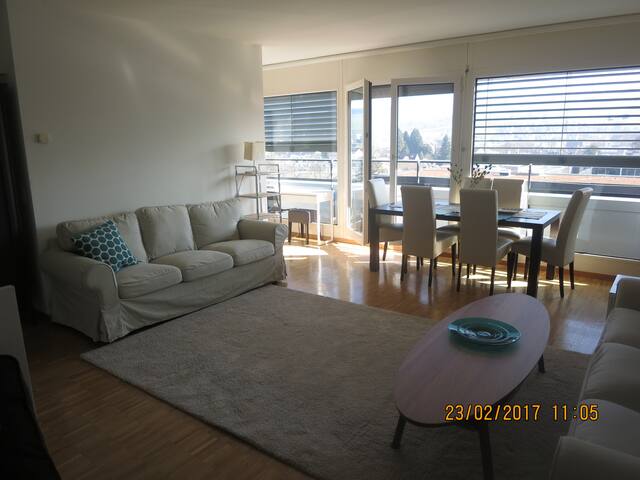 Furnished Apartments For Rent In Zug Switzerland Furnished Apartments For Rent In Zug Switzerland