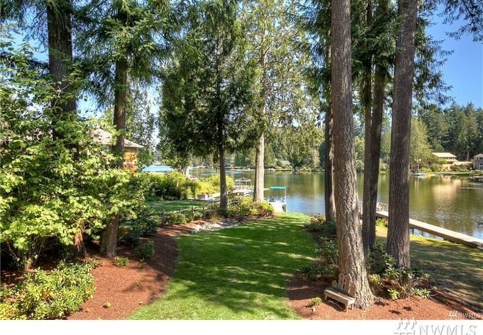 The pine trees mark the edge of the lot