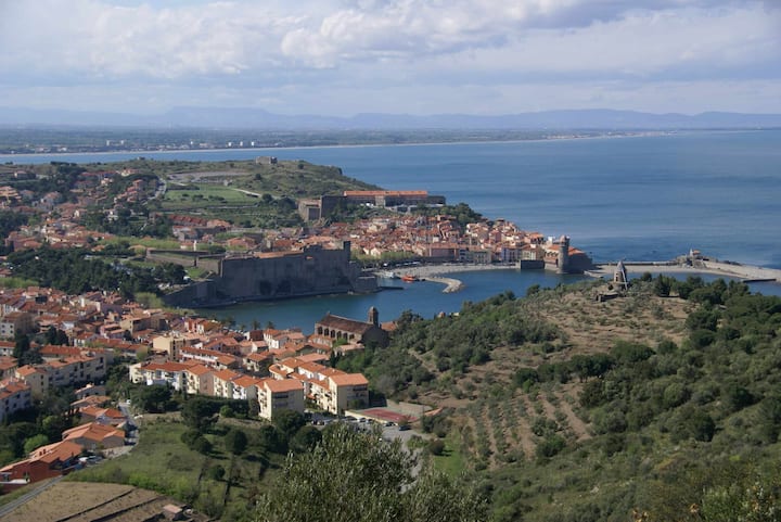 Apartment in Collioure + parking