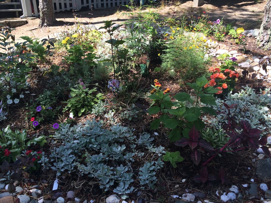 Front yard garden