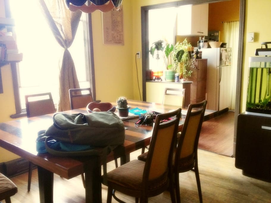 Big homemade table and a small cactus
