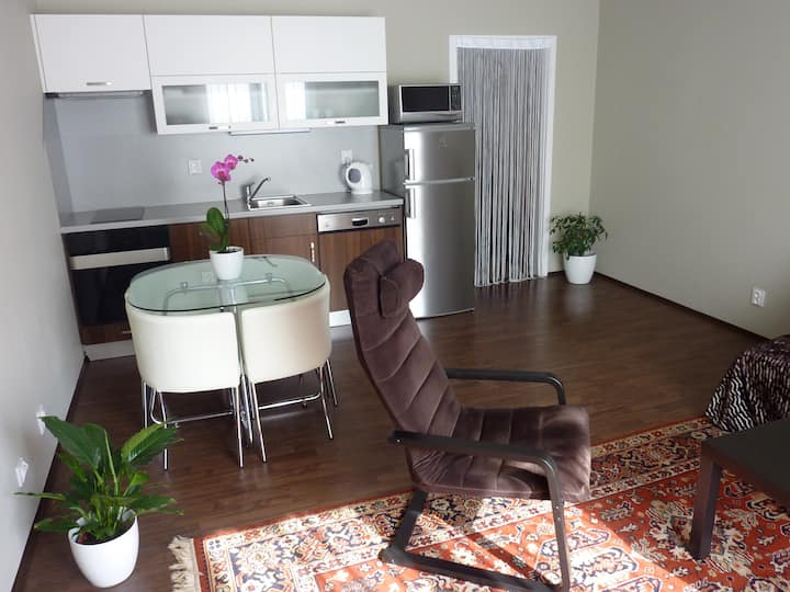 Stylish Studio - Plzeň Pilsen 300+ 5 Star Reviews! - Plzeň