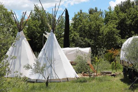 Teepees among the olive trees