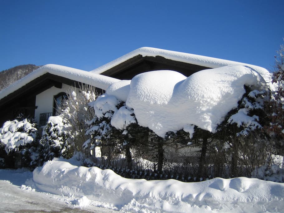 Im Hochwinter