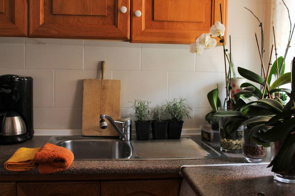 Cocina