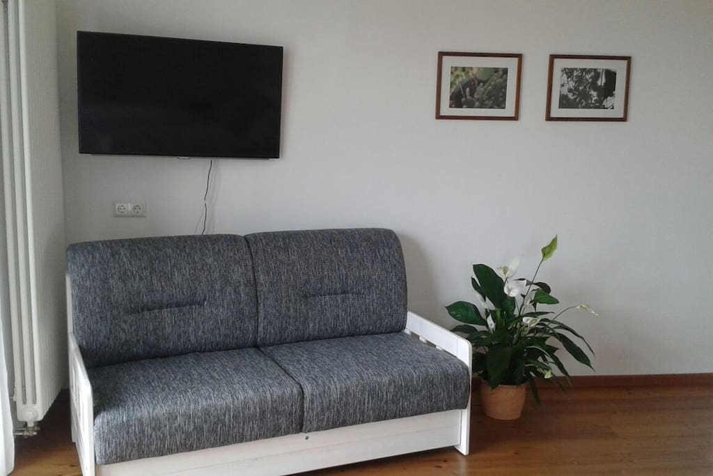 Schlafsofa 160*200cm für zwei Gäste