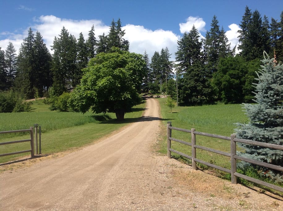 Entrance to property.