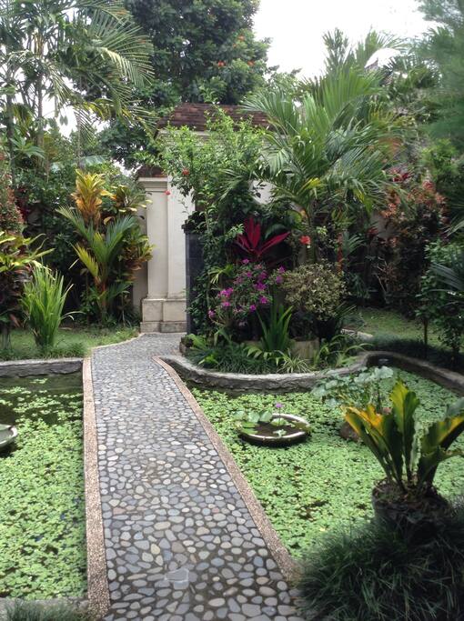 Front Garden and Pond