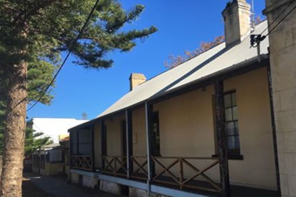 Our street is lined with huge Norfolk pines. You can tie your horse to the front railing.