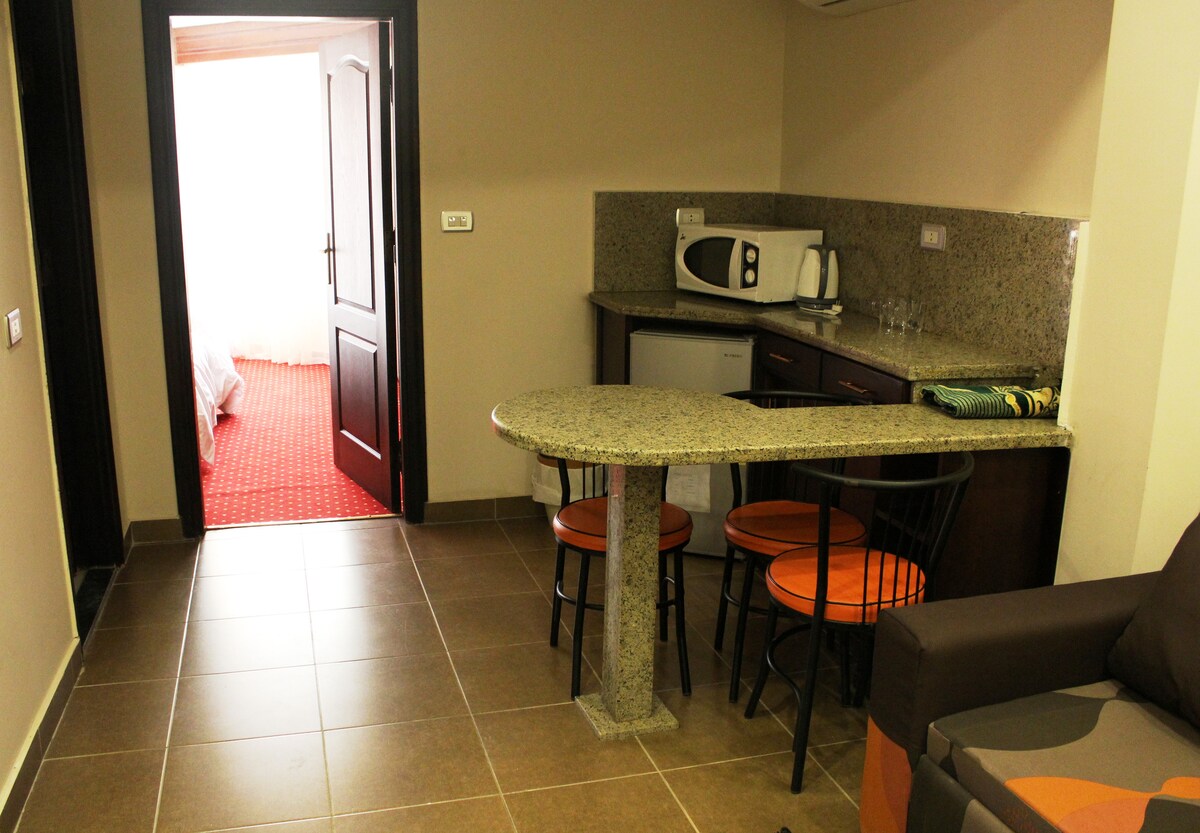 A modern kitchen area features a granite countertop with high stools, alongside a microwave and refrigerator. The space is illuminated by natural light coming from a nearby doorway leading into a separate sleeping area with carpeted flooring.