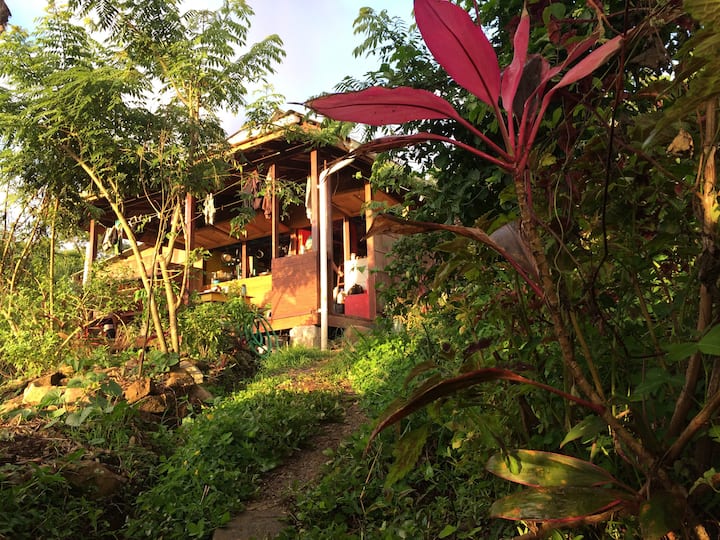 Cochrane Vacation Rentals & Homes Saint Paul Parish, Dominica Airbnb