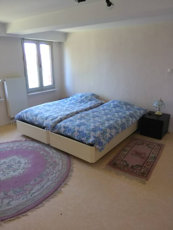 slaapkamer 2 met 2 een persoon bedden