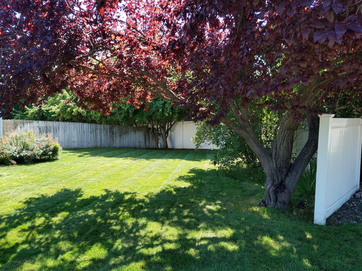 A shaded green lawn is framed by a flowering tree with deep red leaves. A white fence lines the background, offering privacy. Neatly trimmed grass adds to the inviting outdoor space, while small shrubs enhance the natural setting.