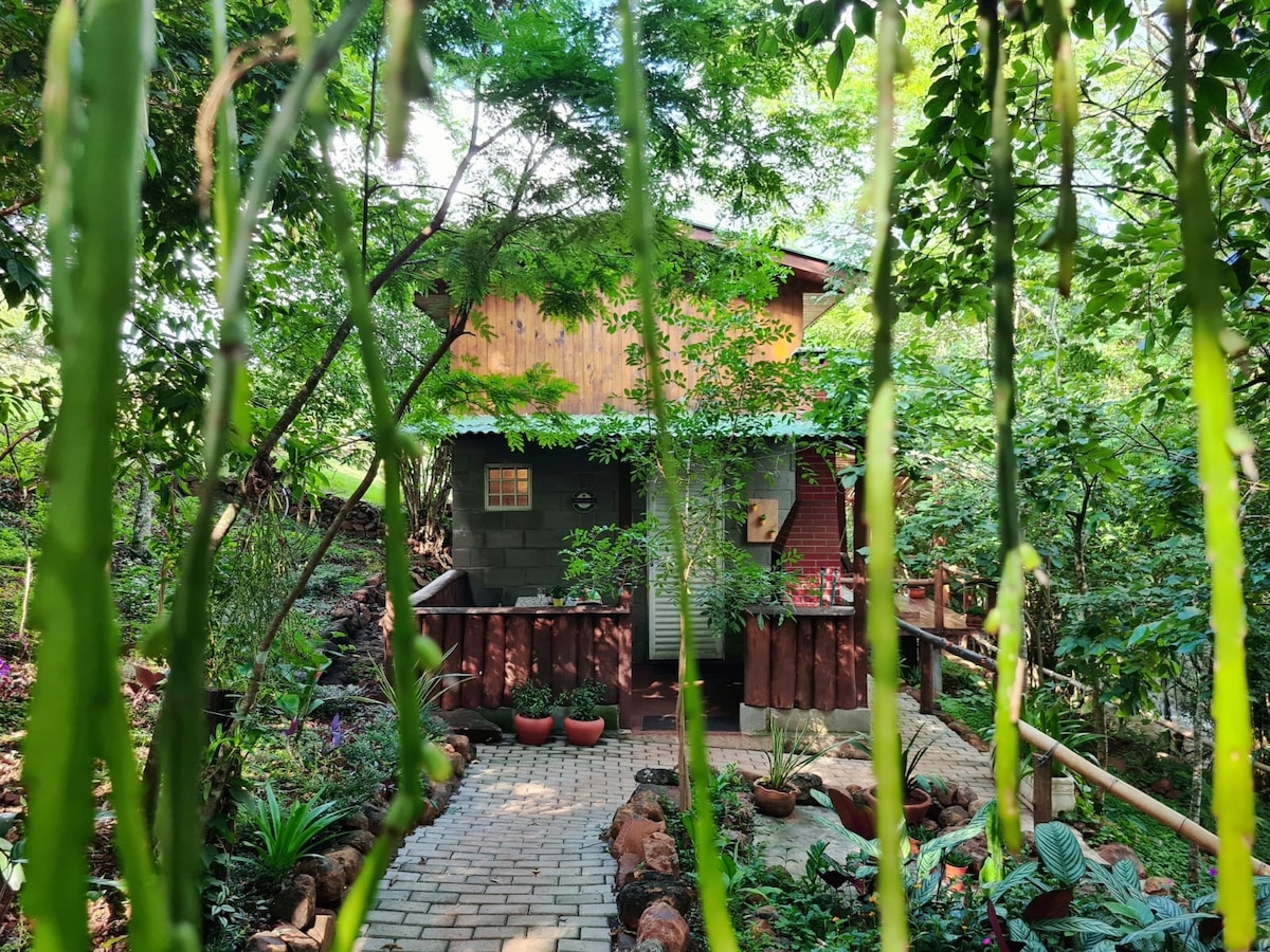 A charming chalet is framed by lush greenery, with trees and plants creating a natural backdrop. A pathway made of bricks leads to the entrance, lined with flower pots. The chalet features a mix of wood and painted siding, enhancing its sense of seclusion.