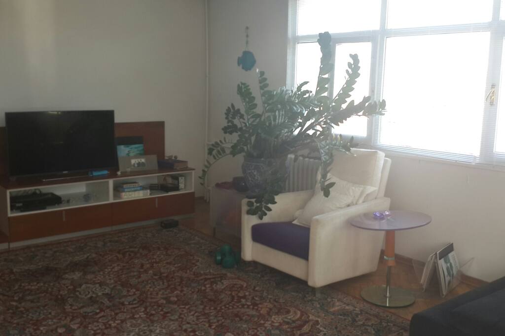 TV