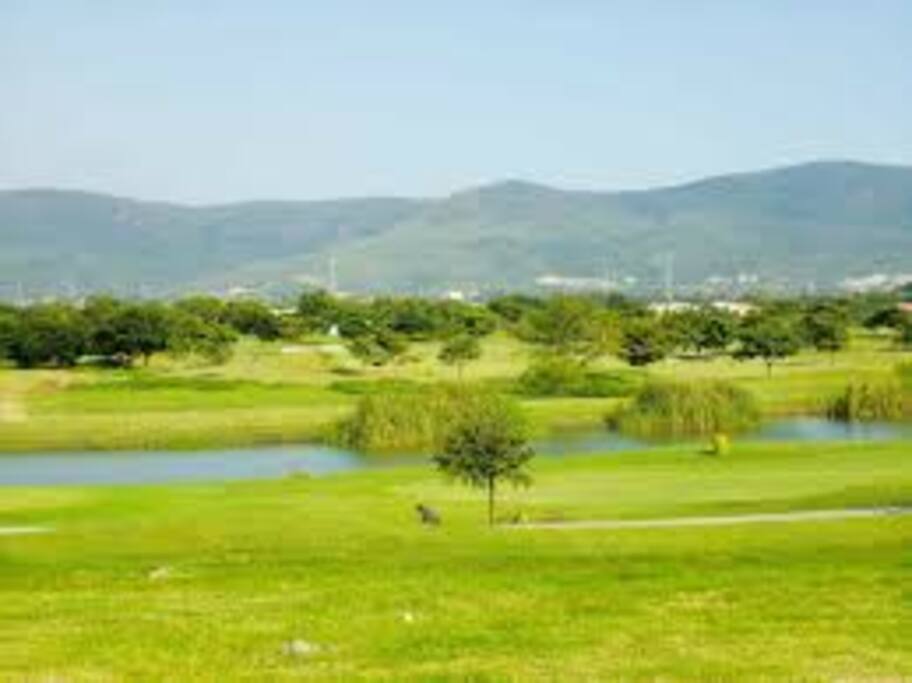 Vistas del campo