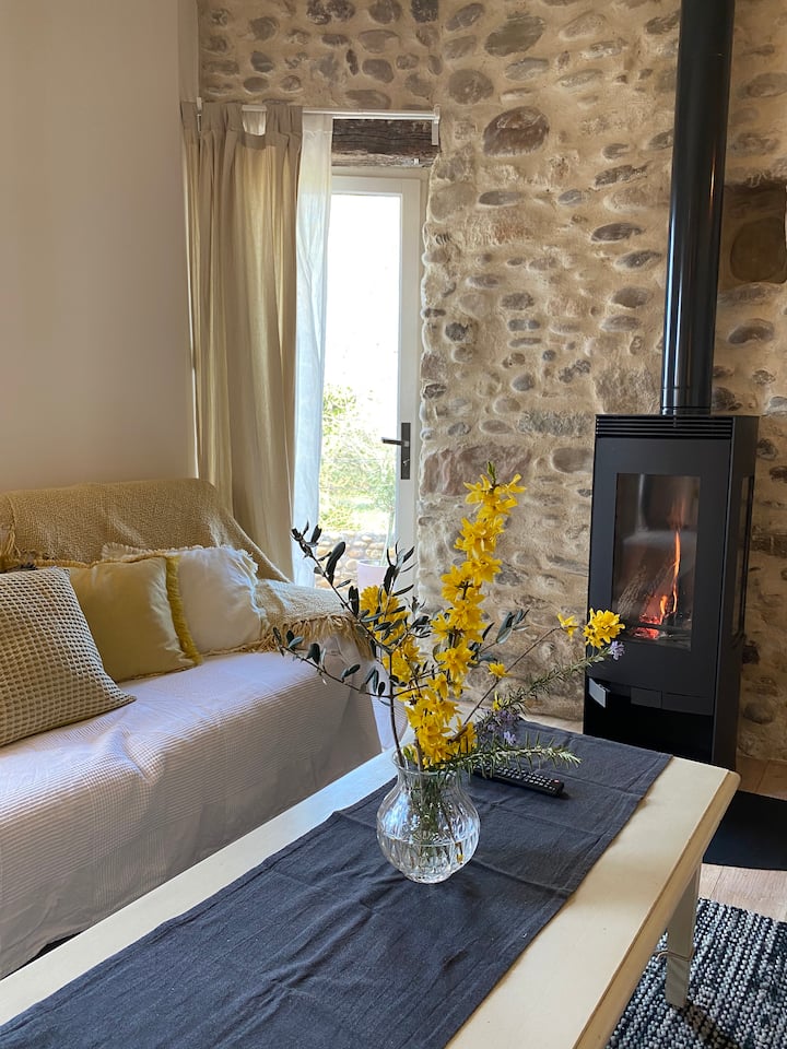 Espace cocooningn bouquet de fleurs de saison du verger de la propriété, agréable feu de bois