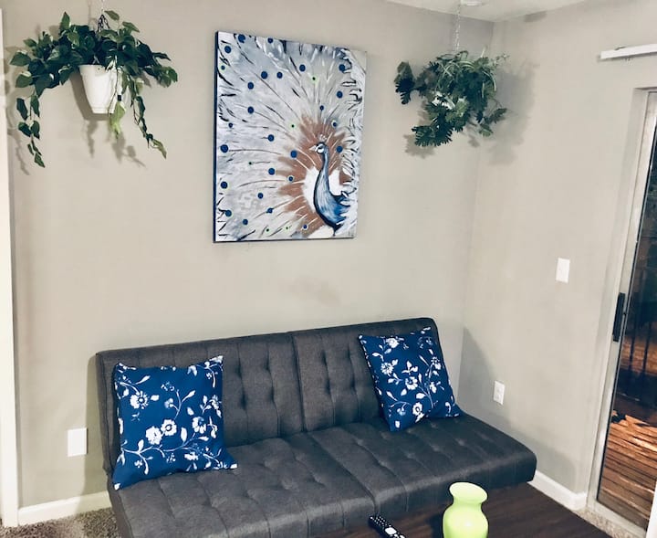 15 Best Airbnbs In Arlington, Texas Updated 2024 Trip101