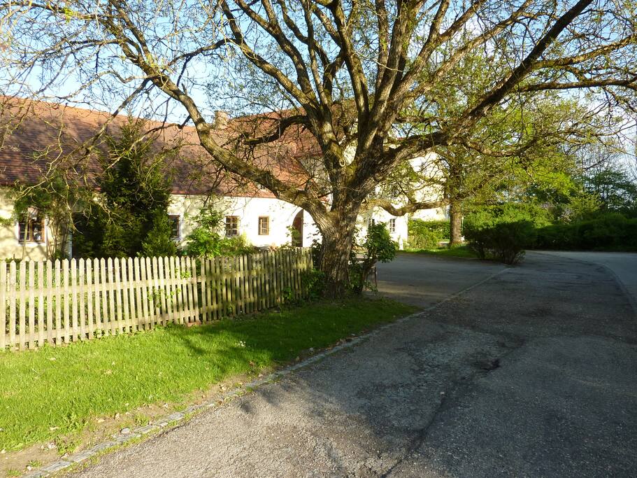 Ankunft