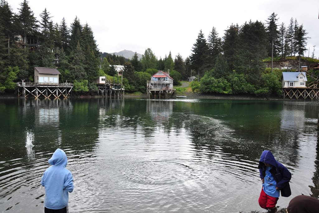 Fishing below the cottage, abundant waterfowl.