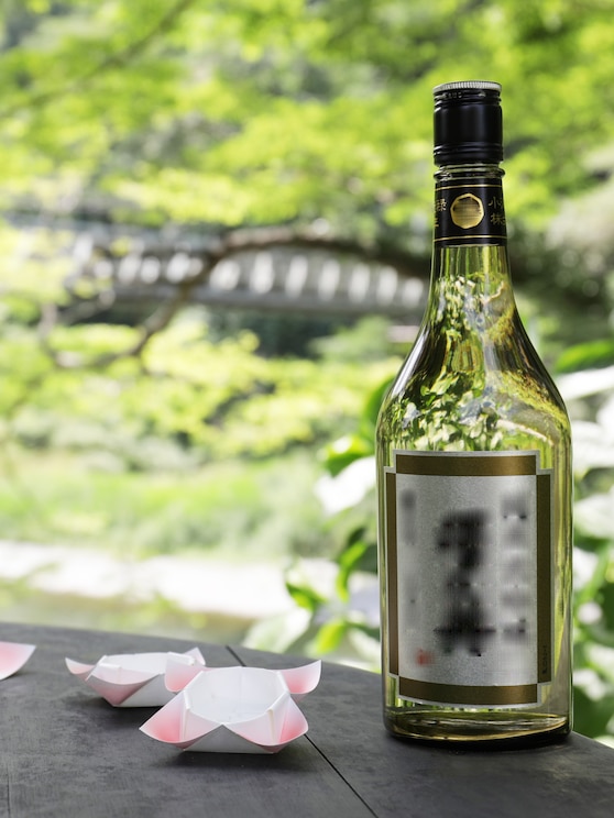 Show full-screen, host-provided image