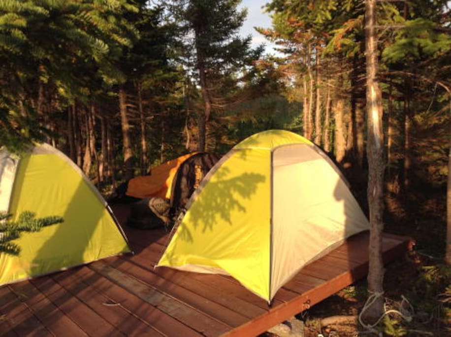Family Camping