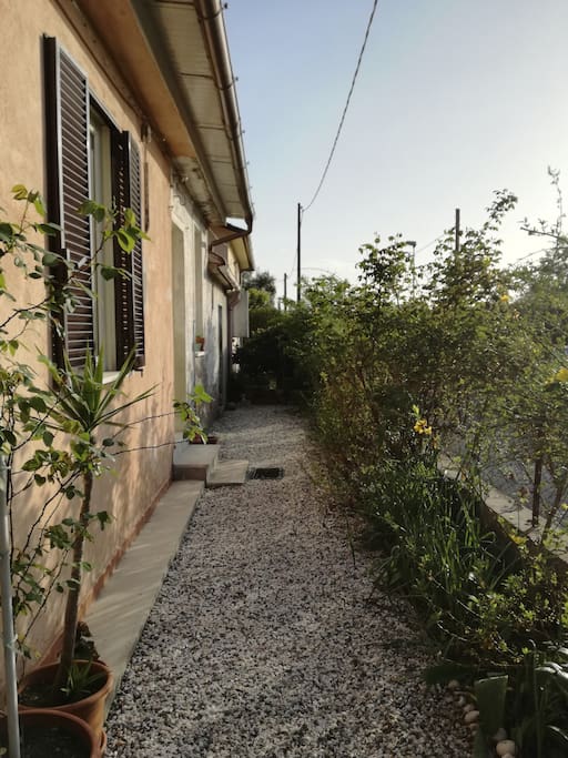aiuole fronte casa