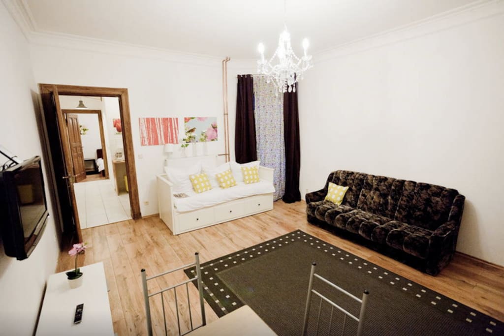 living room, with a double sleeping sofa