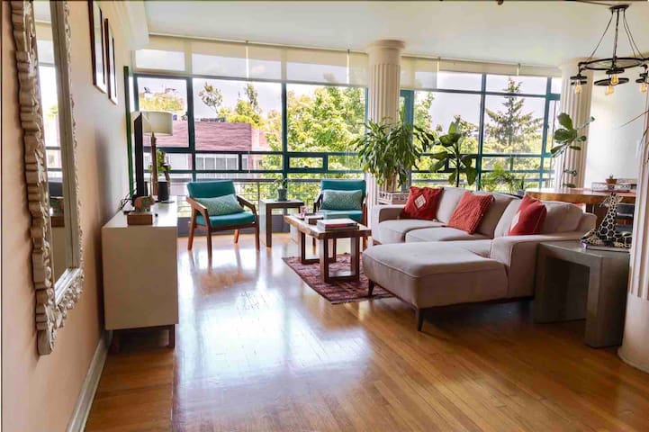 Mexican Charm large bright APT amazing location