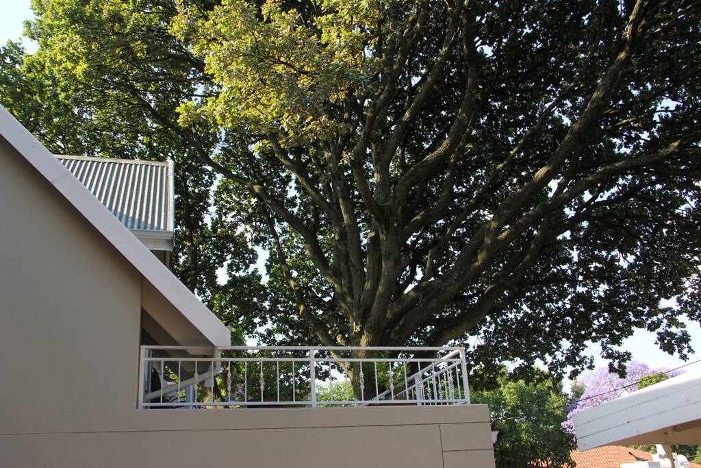 Balcony entrance (with table and chairs)