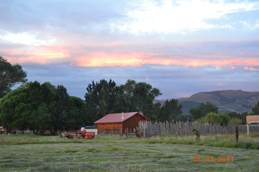 View from back yard.