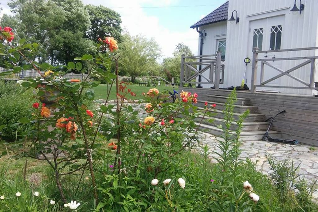 Framsidan trädgård