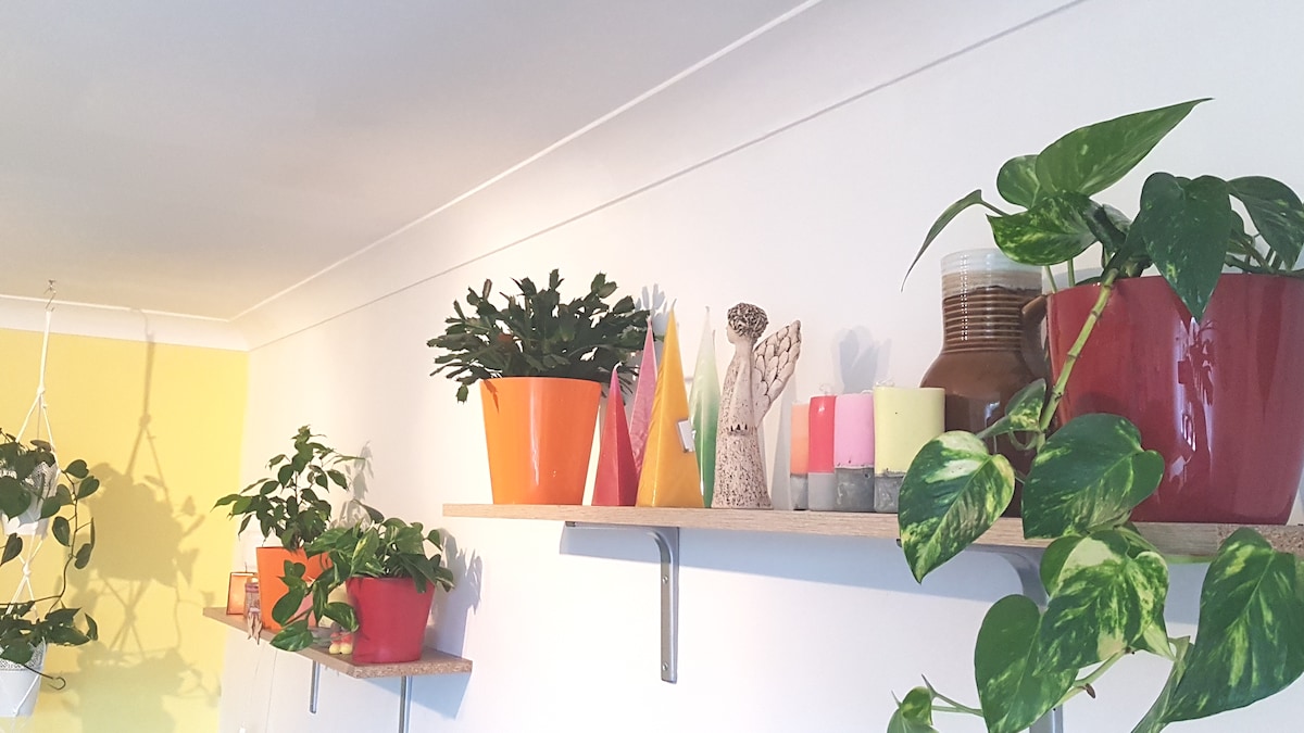 A wall-mounted shelf displays various potted plants, including green foliage and colorful decorative items. Bright orange and yellow pots contrast against a light wall, while a simple bottle and candles in muted tones add subtle interest. Soft lighting enhances the welcoming atmosphere.