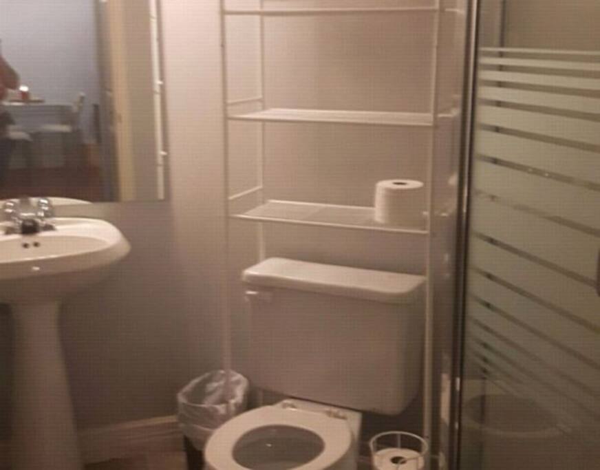 Private bathroom/guest bathroom