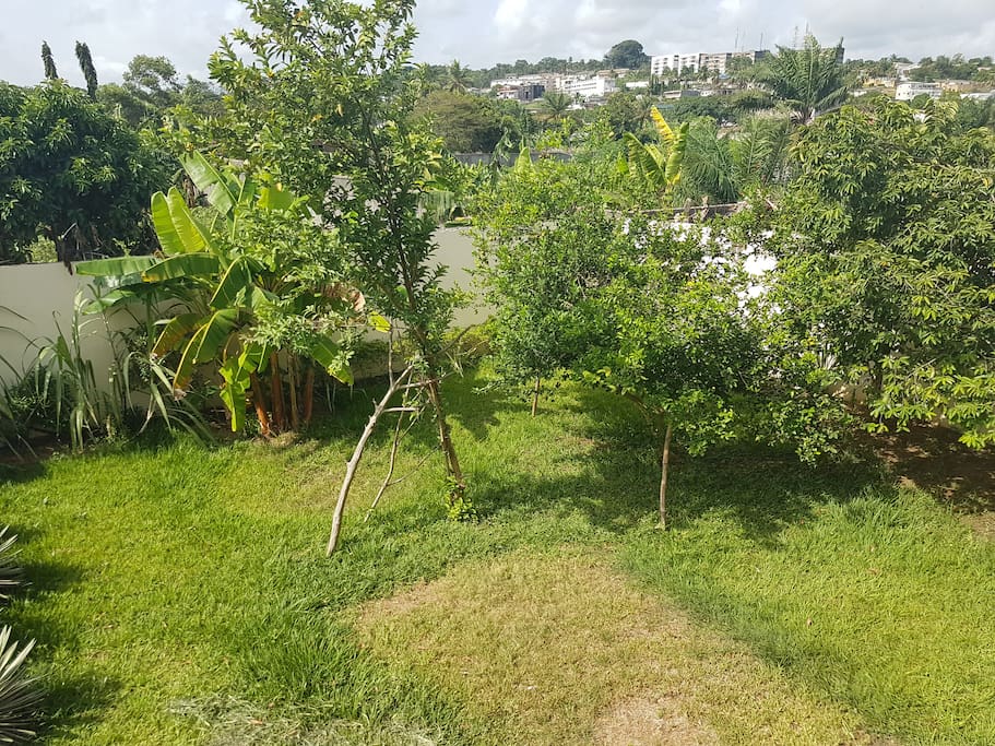 Jardin fruitier