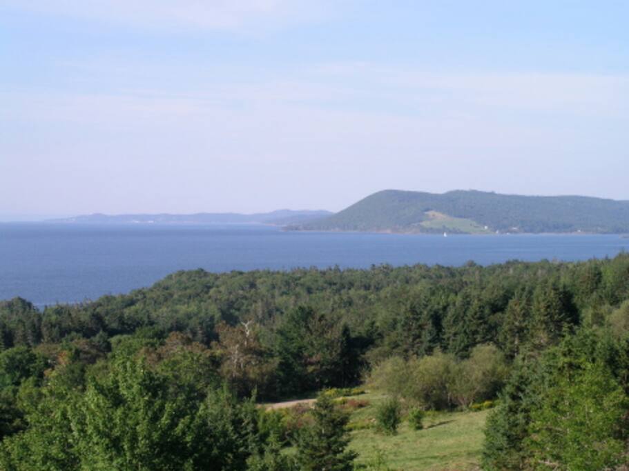 View from the front deck