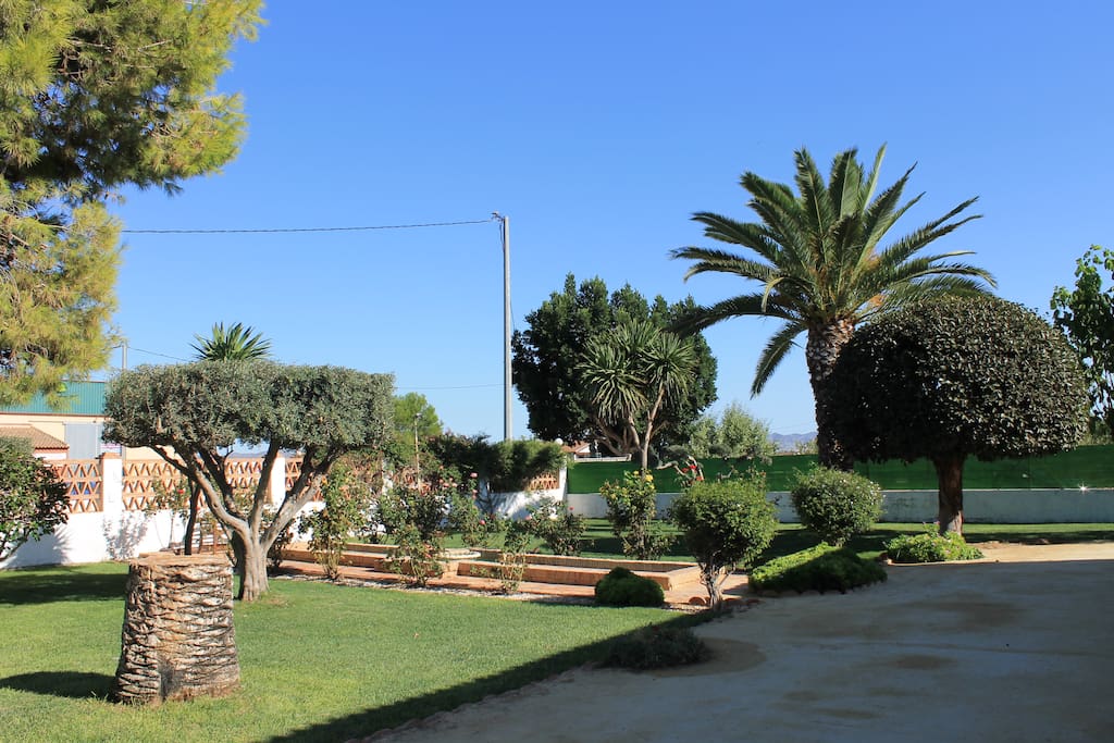 Panoramica del jardin frontal