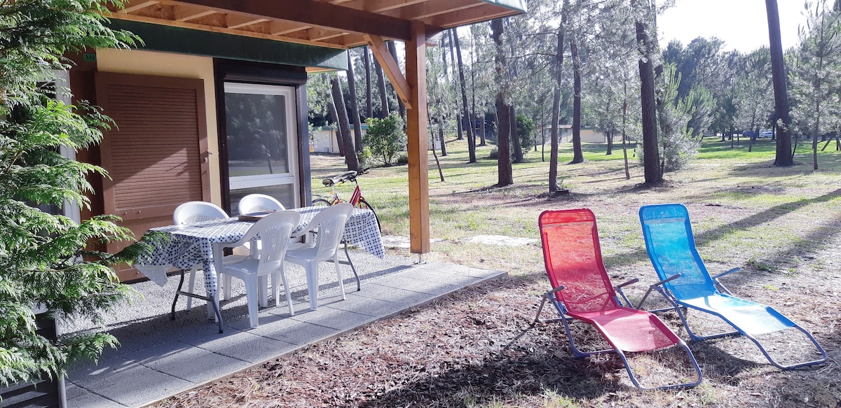 A shaded patio area features a table set with four chairs and two lounge chairs in red and blue. The surrounding greenery showcases tall trees and a well-maintained lawn, providing a serene outdoor space that invites relaxation.