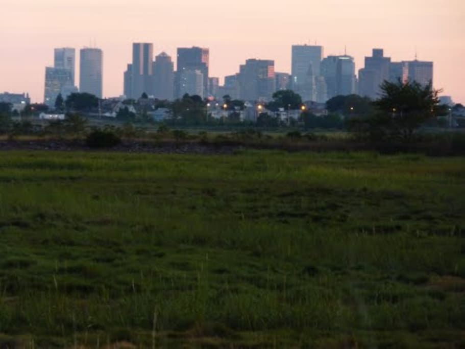 Belle Isle Marsh - 5 minute walk from our place.