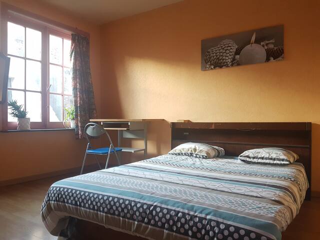 Big room in Bruges Center