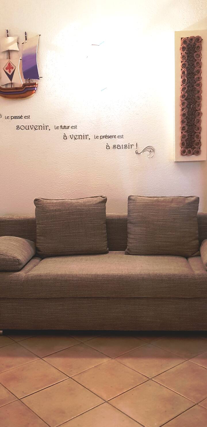 MENŠIA ROZKLADACIA POHOVKA
