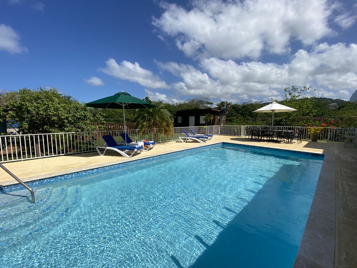 A private swimming pool is surrounded by a spacious deck, featuring lounge chairs under umbrellas and a shaded dining area. Lush green foliage frames the scene, emphasizing the serene outdoor space, with clear blue skies providing a bright backdrop.