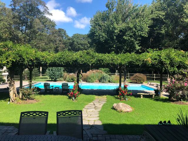 Pier, Pool, Paradise gallery image 4