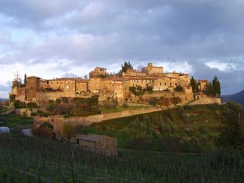 Proprietà Airbnb di successo: House with garden in a medieval village a Greve In Chianti