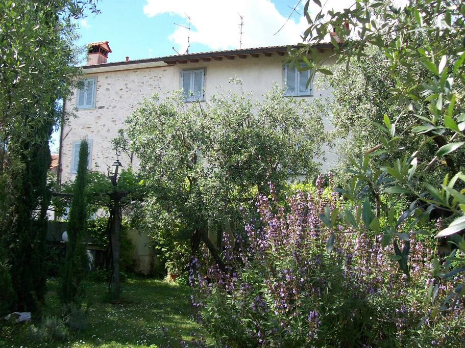 The ancient farmhouse